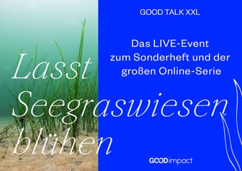 Seegraswiesen Bild